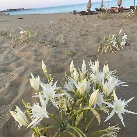 Family Friendly Modern Flat In Caesar &spa, Long Iskele, Kktc Lägenhet Iskele District (Northern Cyprus)